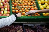 Економистите и стопанствениците за високите цени на храната: „Трендот на поскапување нема да престане во догледен период“