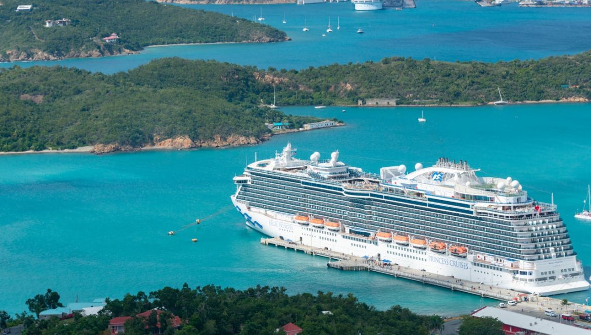 Photo by Diego F. Parra: https://www.pexels.com/photo/regal-princess-docked-in-a-harbor-15304353/